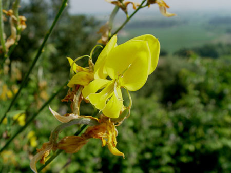 foto agriturismo monte vento