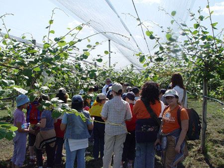 foto agriturismo monte vento