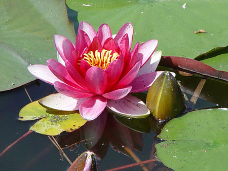 foto agriturismo monte vento